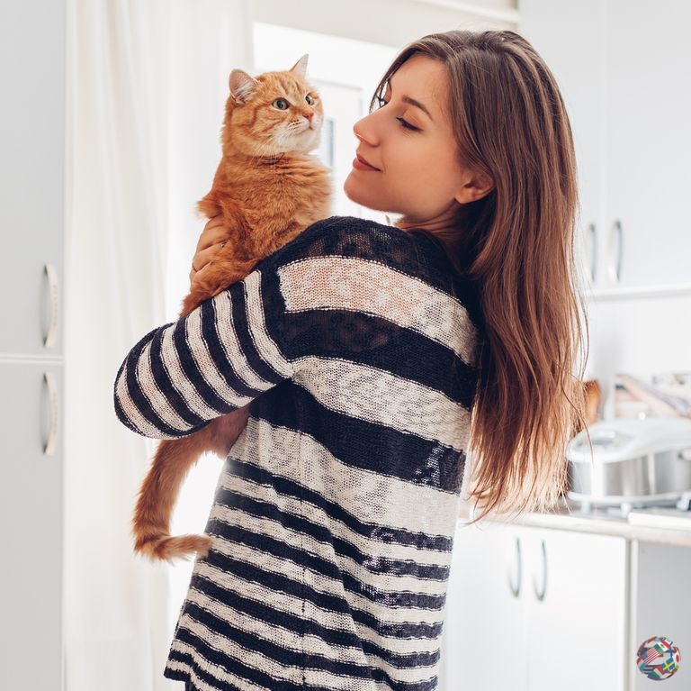20 причин, почему кошки — лучшие домашние животные